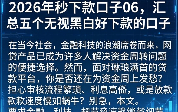 2026年秒下款口子06，汇总五个无视黑白好下款的口子