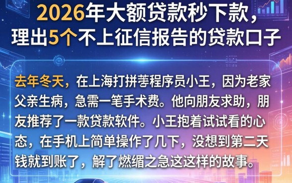 2026年大额贷款秒下款,理出5个不上征信报告的贷款口子