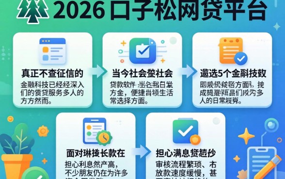 2026年口子松的网贷平台，遴选5个真正不查征信的贷款软件