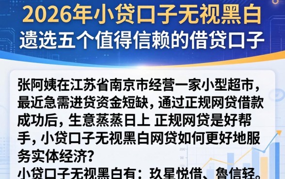 2026年小贷口子无视黑白,遴选五个值得信赖的借贷口子