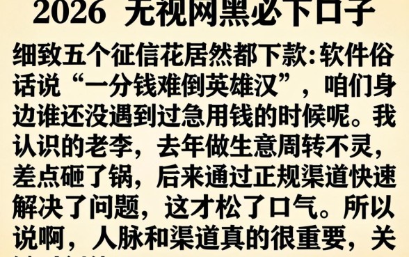 2026年无视网黑必下口子，细致阐述五个征信花居然都下款的软件