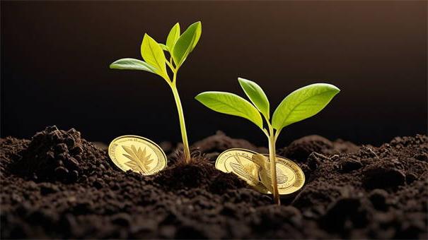 2026年大学生贷款口子，规整5个手机和身份证快速借钱软件