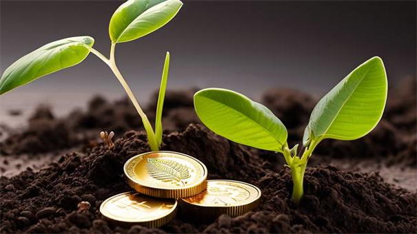 2026年审核速度惊人，遴选五个无视黑花能下款一万元口子