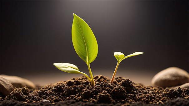 2026年新口子放水来袭,鼎力推荐5个不看征信小额借钱的平台