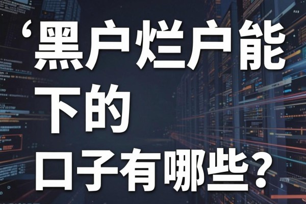 5个黑户烂户能下的口子有哪些？黑户烂户哪里能借到钱