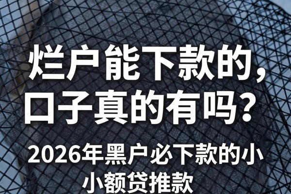 黑网烂户能下款的口子真的有吗?2026年黑户必下款的小额贷款推荐