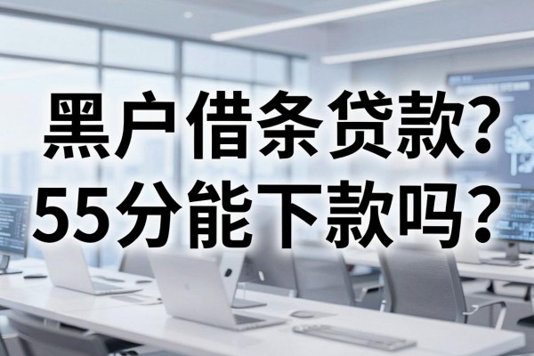 黑户借条贷款55分能下款吗?黑户哪里能借到钱