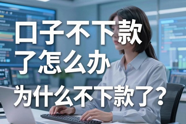 口子不下款了怎么办,为什么网贷突然都不下款了?