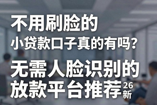 不用刷脸的小贷款口子真的有吗？2026年最新无需人脸识别的放款平台推荐
