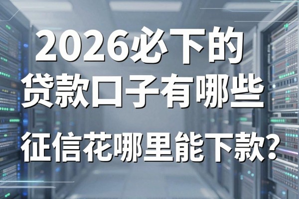 2026必下的贷款口子有哪些，征信花哪里能下款？
