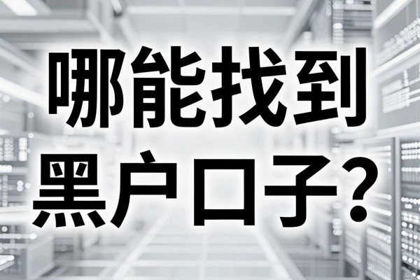 哪能找到黑白户口子?黑白户口子哪里有可靠的