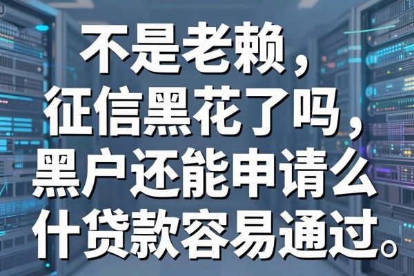 不是老赖征信黑花了吗,黑户还能申请什么贷款容易通过