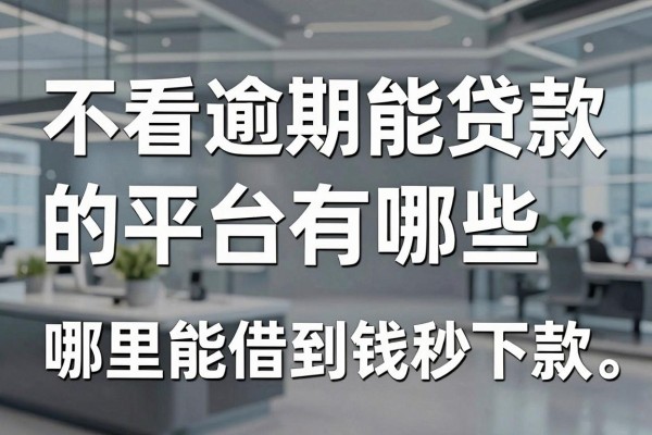 不看逾期能贷款的平台有哪些，哪里能借到钱秒下款