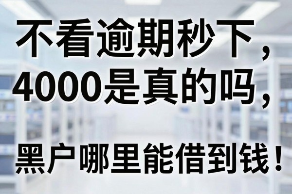 不看逾期秒下4000是真的吗，黑户哪里能借到钱