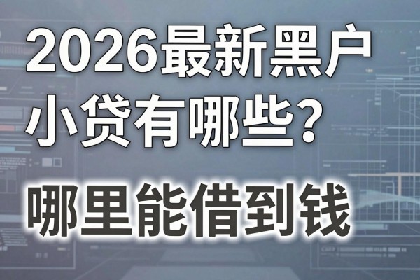 2026最新黑户小贷有哪些?征信花户哪里能借到钱