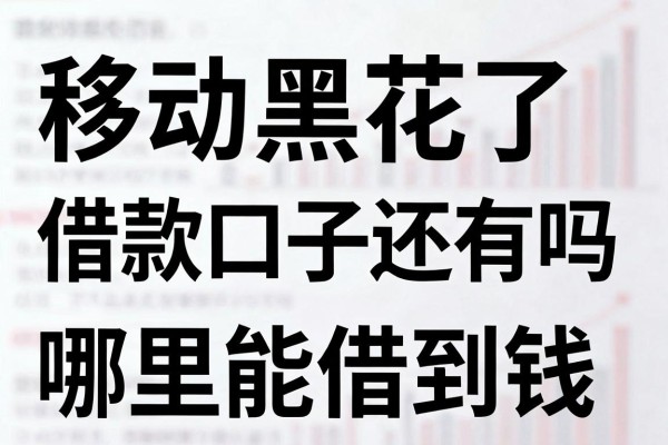 移动黑花了借款口子还有吗,黑户花户哪里能借到钱