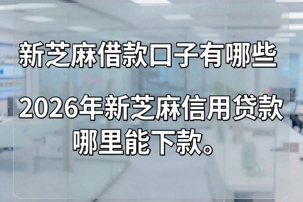 新芝麻借款口子有哪些，2026年新芝麻信用贷款哪里能下款？