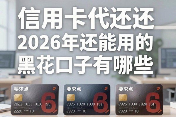 信用卡代还黑花口子有哪些，2026年还能用的黑花口子盘点