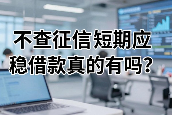 不查征信短期应急借款真的有吗？哪家平台容易下款？