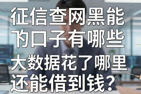 征信查网黑能下的口子有哪些，大数据花了哪里还能借到钱？