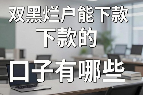 双黑烂户能下款的口子有哪些,双黑烂户哪里能贷到钱?