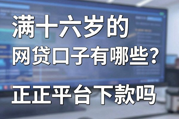 满十六岁的网贷口子有哪些?正规平台容易下款吗