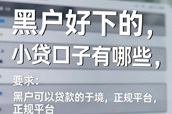 黑户好下的小贷口子有哪些,黑户可以贷款的正规平台推荐