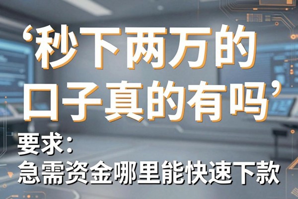 秒下两万的口子真的有吗，急需资金哪里能快速下款