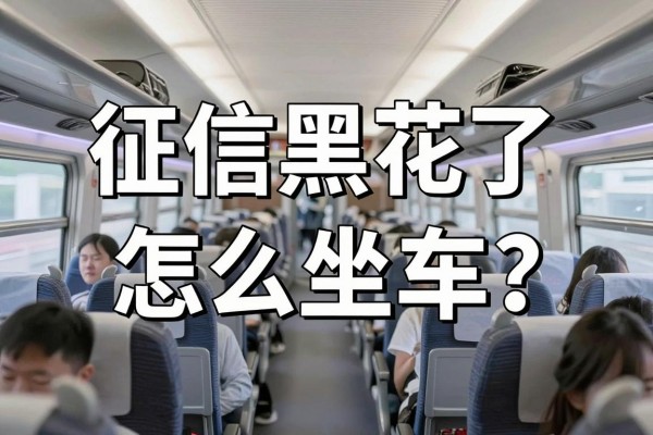 征信黑花了怎么坐车?高铁火车还能买票吗