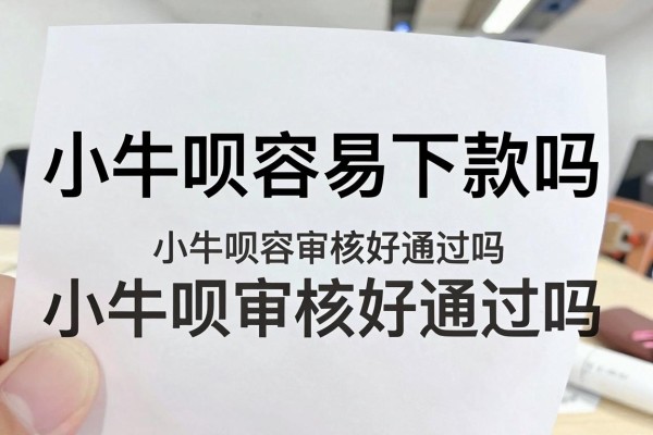 小牛呗容易下款吗，小牛呗审核好通过吗