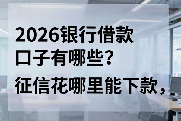 2026银行借款口子有哪些？征信花哪里能下款？