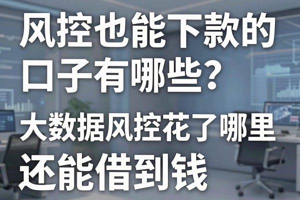 风控也能下款的口子有哪些？大数据风控花了哪里还能借到钱