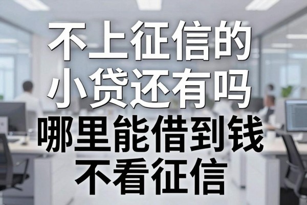 不上征信的小贷还有吗,哪里能借到钱不看征信