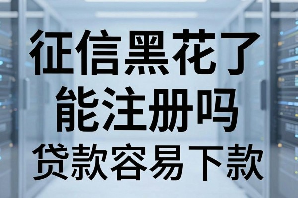 征信黑花了能注册吗，征信黑了还能申请什么贷款容易下款