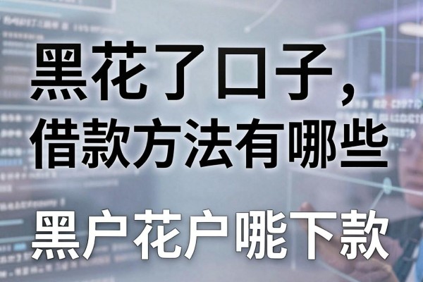 黑花了口子借款方法有哪些，黑户花户哪里能下款？