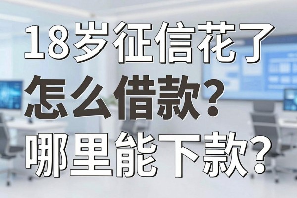 18岁征信花了怎么借款？哪里能下款？