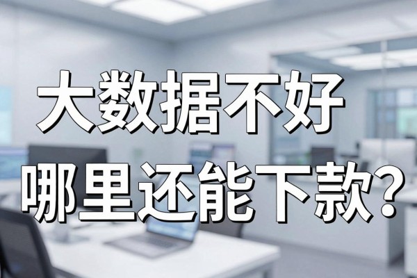 大数据不好网贷吗口子,大数据不好哪里还能下款?