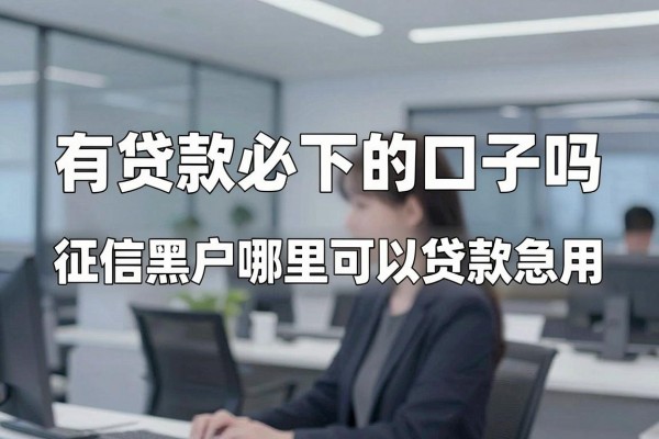 有贷款必下的口子吗,征信黑户哪里可以贷款急用