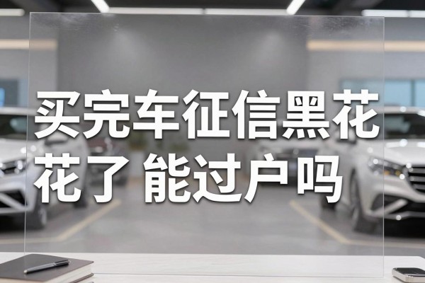 买完车征信黑花了能过户吗,征信黑名单车辆过户有什么影响