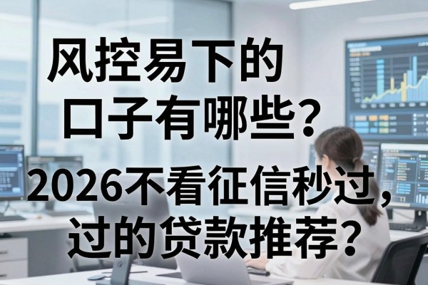 风控易下的口子有哪些?2026不看征信秒过的贷款推荐