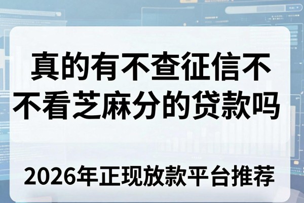 真的有不查征信不看芝麻分的贷款吗,2026年正规放款平台推荐